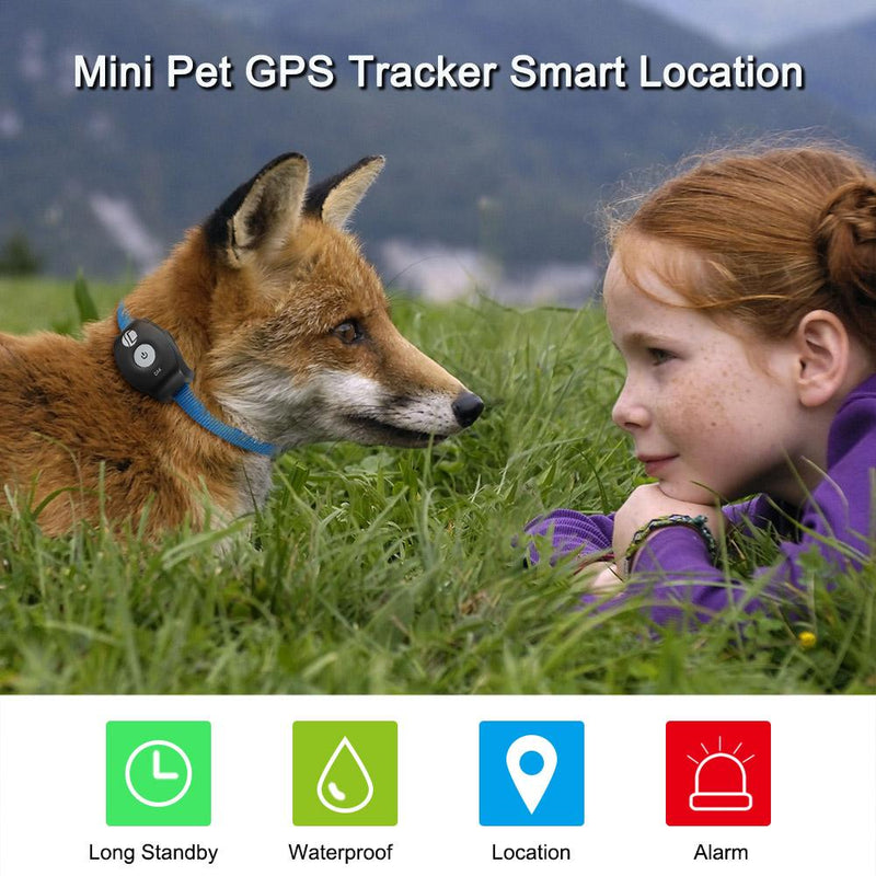 Smart Pet Coleira GPS KKMOON