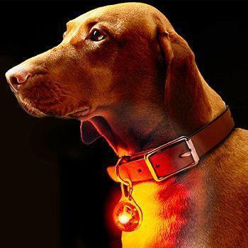 Luz LED de Segurança para Animais de Estimação Clip-On
