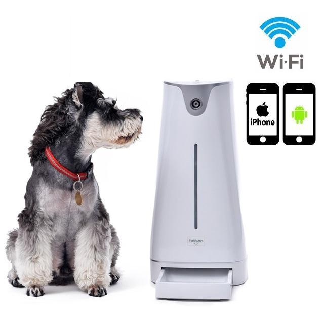 Smart Pet Comedouro Automatico Wifi Hoison