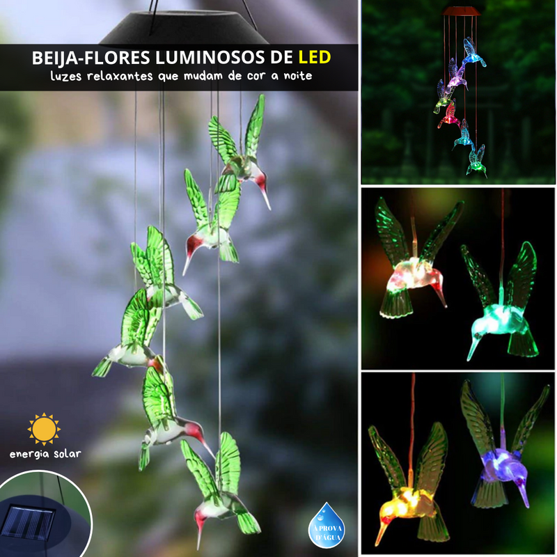 Shine & Shimmer - Beija-flor Luminoso de LED