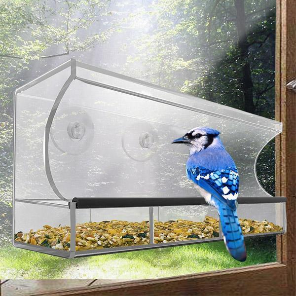 Alimentador de Pássaros para Janelas - Observação Clara de Pássaros Selvagens