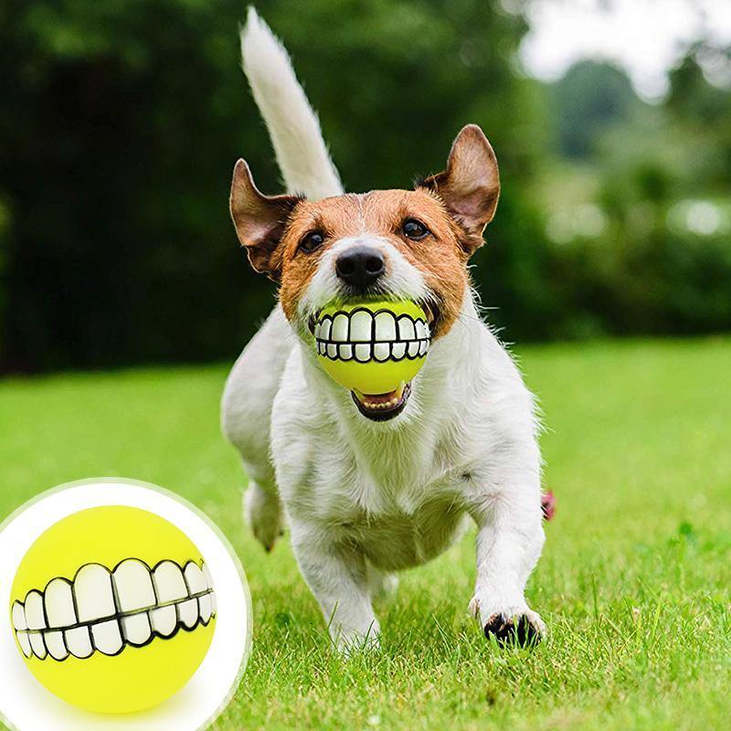 2 pcs Bola de Pet com Dentes Engraçados