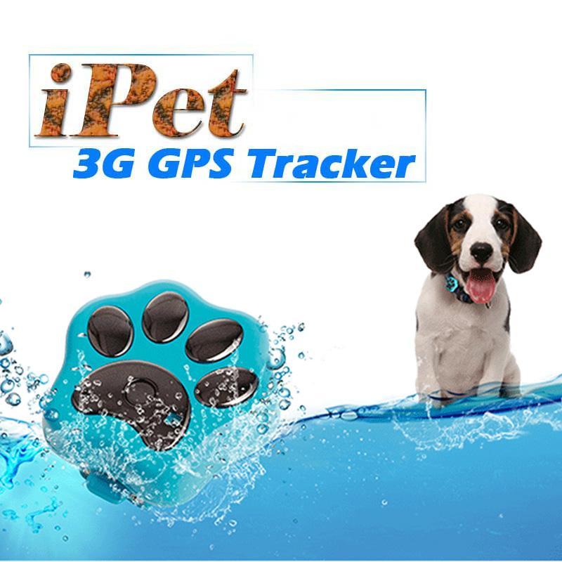 Smart Pet Coleira GPS iPet